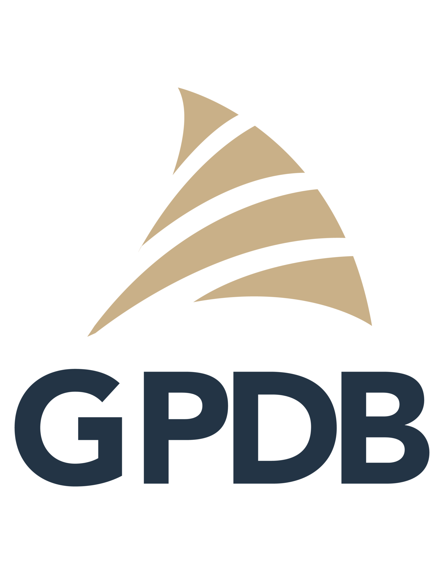 Global Pacific Design Builders logo