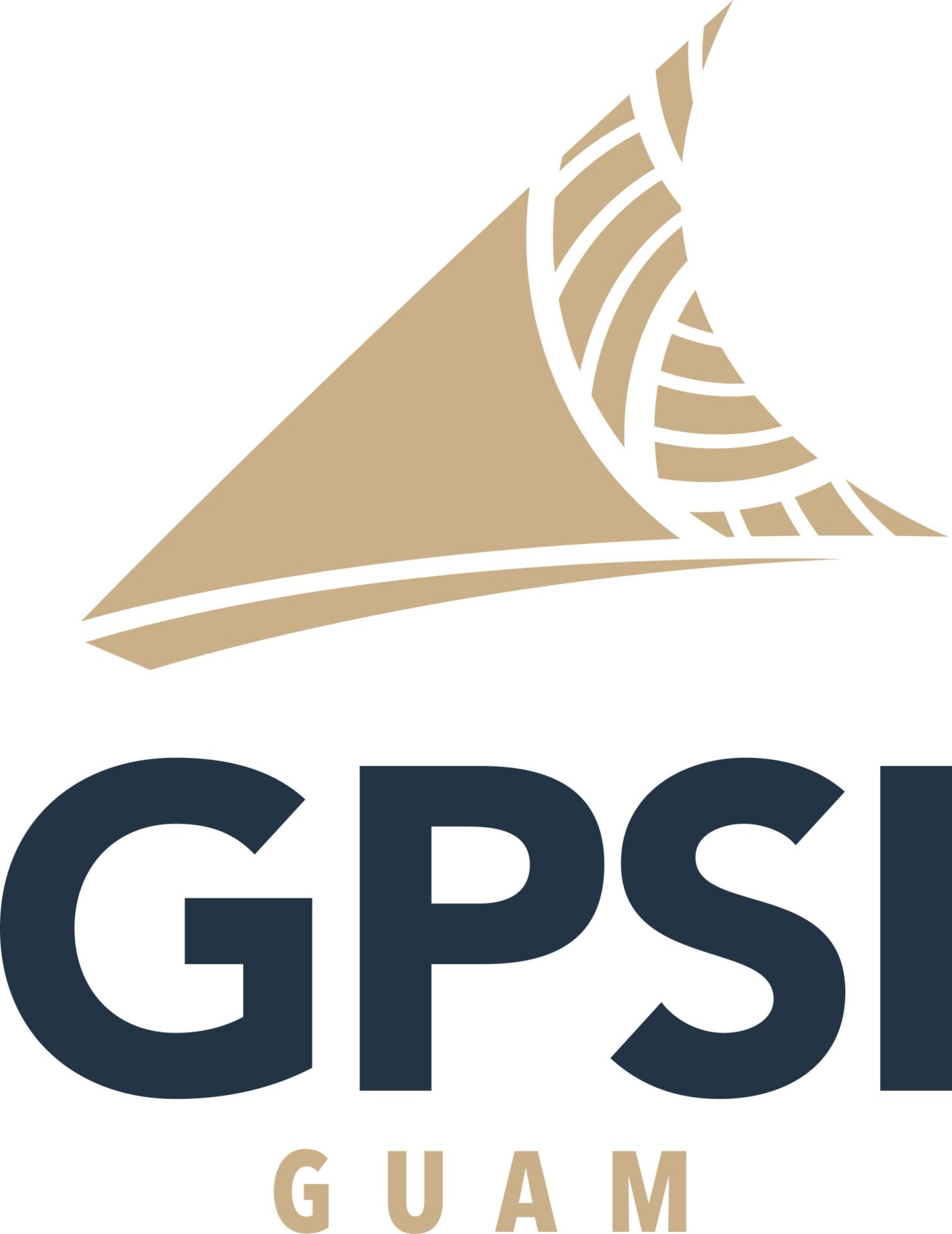 Galaide Professional Services logo