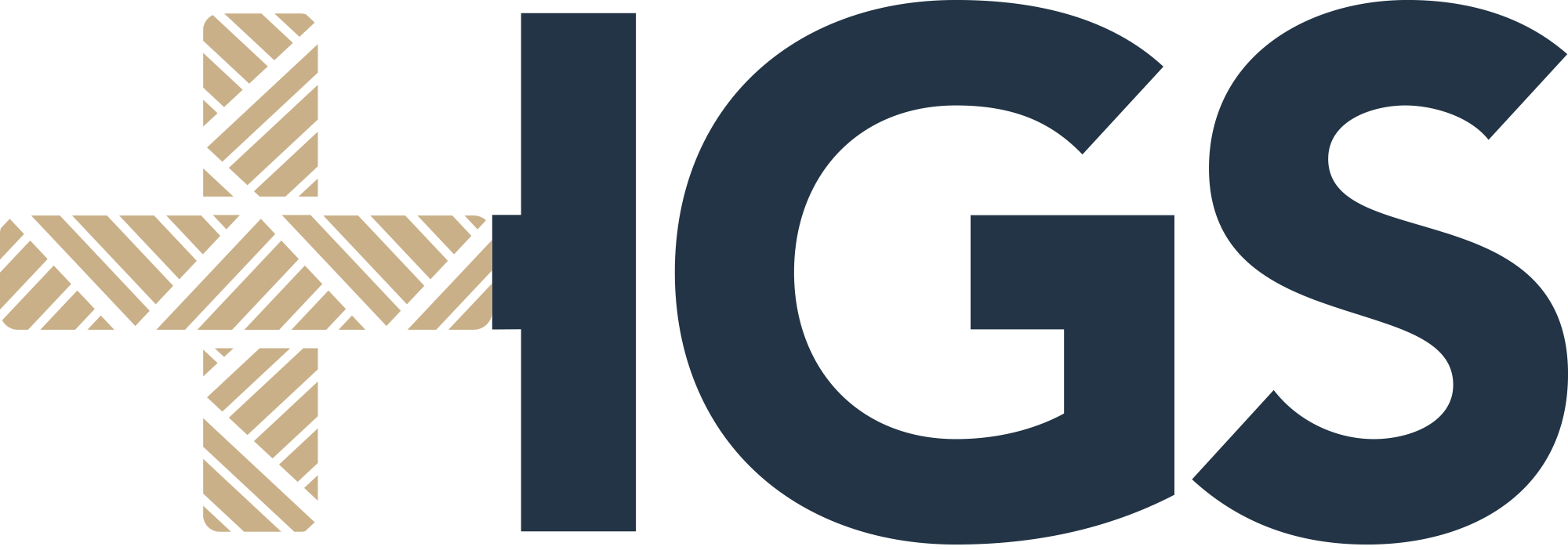 Hoʻolaulima Government Solutions logo